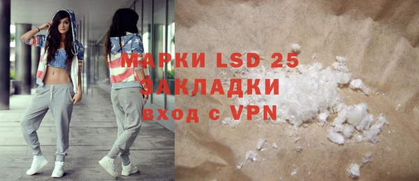 стафф Аркадак