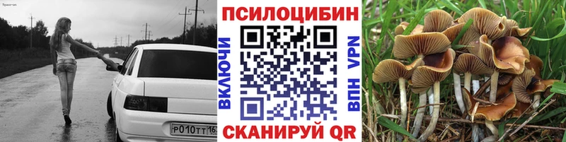 darknet формула  цены   Красный Холм  Псилоцибиновые грибы мухоморы 