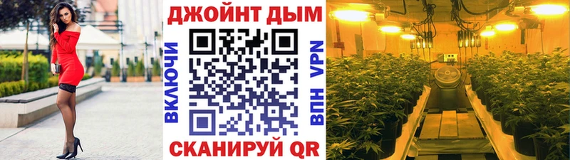 Бошки Шишки план  Красный Холм 